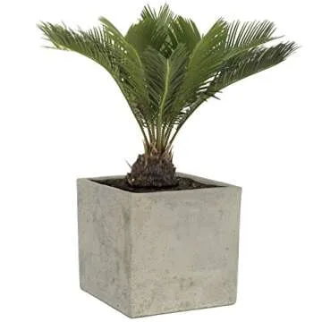 Classic Home & Garden 8-Inch Cement Square Planter