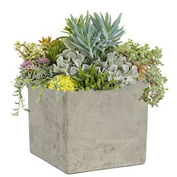 Classic Home & Garden 3/0935/1 Cement Square Planter, 8" Natural
