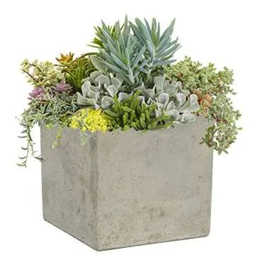 Classic Home & Garden 8-Inch Cement Square Planter