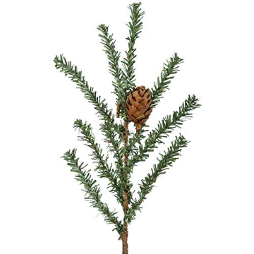 Vickerman 1.5 Foot Tall Caramel Pine Artificial Christmas Tree Unlit, Seasonal Indoor Home Decor with Decorative Burlap Base - Featuring Decorative Pine Cones