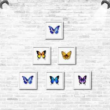 TouYinger 5x5 Small Shadow Box Frame Display Case, Display Case Box for Memorabilia, Medal, Wedding Memories, Crafts, Tickets and Photos (White, 5x5)