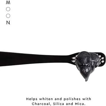 MOON Charcoal Toothpaste, Whitening Stain Removal for Everyday Brightening - SLS Free Teeth Whitening Toothpaste Without Fluoride - Vegan - Reduce Plaque & Support Gum Health - Peppermint (2 Pack)