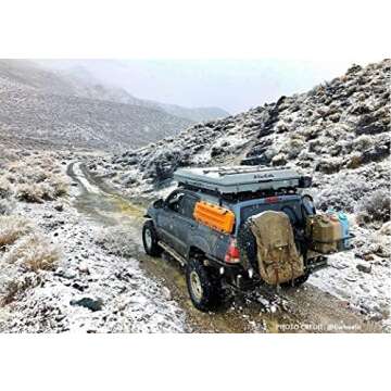 Scepter BPA Durable 5 Gallon 20 Liter Portable Military Water Storage Container for Camping, Outdoors and Emergency Management, Green, 6 Pack