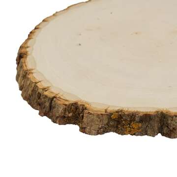 Walnut Hollow Basswood Round, Extra Large 12-14" Wide with Live Edge Wood (Pack of 1) - for Wood Burning, Home Décor, and Rustic Weddings.