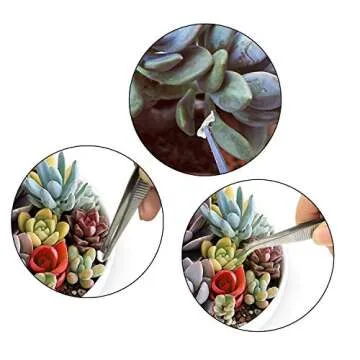 NPLUX Succulent Tools Set for Mini Garden Care