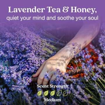 Enviroscent Non Toxic Air Freshener (Lavender Tea & Honey) Plug-in Air Freshener for Home, Essential Oil Plug In, Home Fragrance Last 45+ Days | 1 Refillable Air Freshener Plug In & 1 Scent Refill Kit