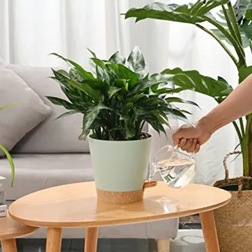 Qaobo Plant Pots 6 PCS Self Watering Planters