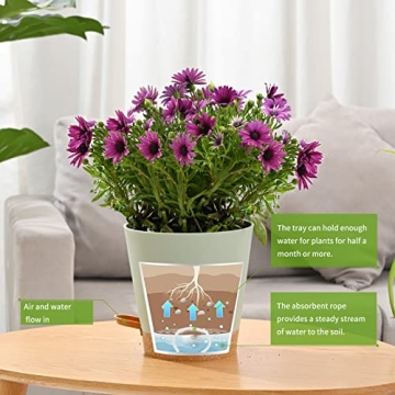 Qaobo Plant Pots 6 PCS Self Watering Planters