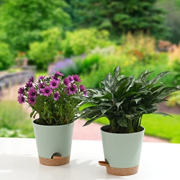 Qaobo Plant Pots 6 PCS Self Watering Planters