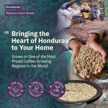 Organic Honduran Whole Bean Coffee Medium Dark Roast - 12oz, Single Origin Arabica Coffee Beans, Fair Trade Specialty Coffee