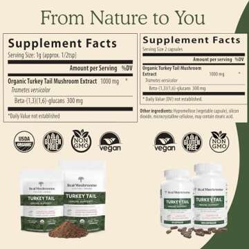 Real Mushrooms Turkey Tail Powder - Organic Mushroom Supplement with Potent Extract for Gut, Energy, Brain, Immune Support Vegan Powder, Non-GMO, 100 Servings