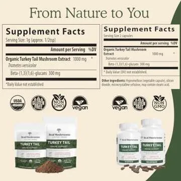 Real Mushrooms Turkey Tail Powder - Organic Mushroom Supplement with Potent Extract for Gut, Energy, Brain, Immune Support Vegan Powder, Non-GMO, 100 Servings