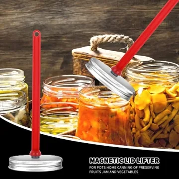 ASTER Canning Kit - Magnetic Lid Lifters & Bubble Poppers