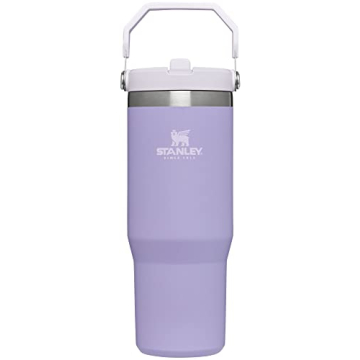 STANLEY IceFlow Stainless Steel Tumbler with Straw, Vacuum Insulated Water Bottle for Home, Office o...