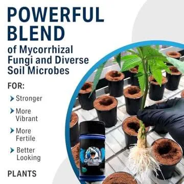 Great White Mycorrhizal Fungi Root Stimulator by Plant Success, Concentrated 3-in-1 Formula, 9-Strain 387 Spores/gram, 6 Million CFU/gram Bacteria, 2-Strains Trichoderma, 1 oz Treats 1,000 Plants