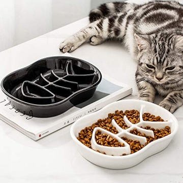 Black Ceramic Slow Feeder Bowls for Dogs and Cats  - Prevent Bloat