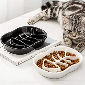 Black Ceramic Slow Feeder Bowls for Dogs and Cats  - Prevent Bloat