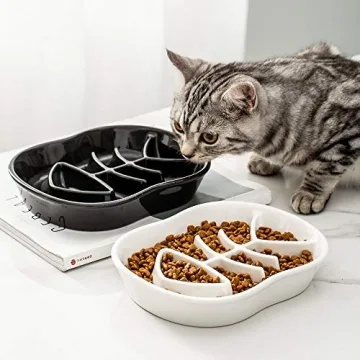 Black Ceramic Slow Feeder Bowls for Dogs and Cats  - Prevent Bloat