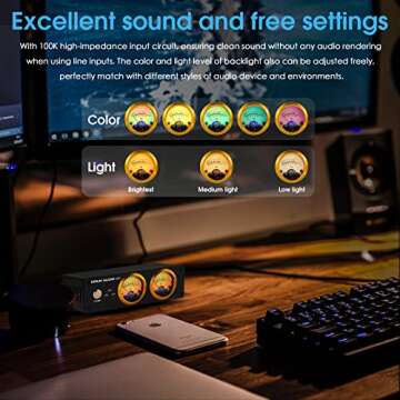 Douk Audio VU22 Dual Analog VU Meter Display DB Panel MIC+LINE Sound Level Meter (Black)