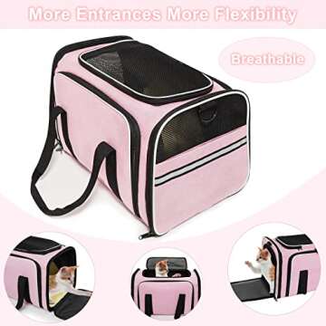 Airline Approved Expandable Cat Carrier for Easy Travel