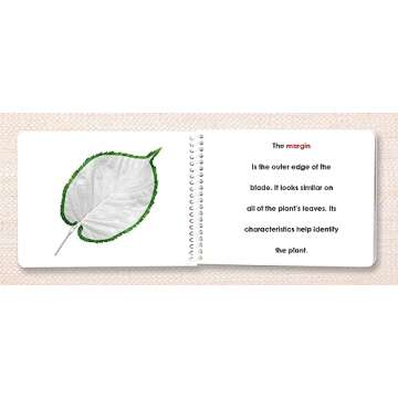 Botany External Anatomy Book Set (4 Book Set including Dicot Flower, Monocot Flower, Leaf, and Tree)