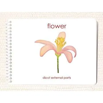 Botany External Anatomy Book Set (4 Book Set including Dicot Flower, Monocot Flower, Leaf, and Tree)