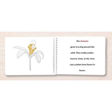 Botany External Anatomy Book Set (4 Book Set including Dicot Flower, Monocot Flower, Leaf, and Tree)