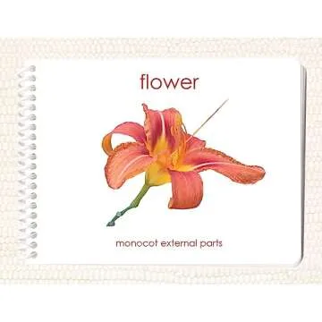 Botany External Anatomy Book Set (4 Book Set including Dicot Flower, Monocot Flower, Leaf, and Tree)