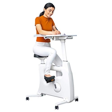 FLEXISPOT 3-IN-1 Desk Bike for Home Fitness