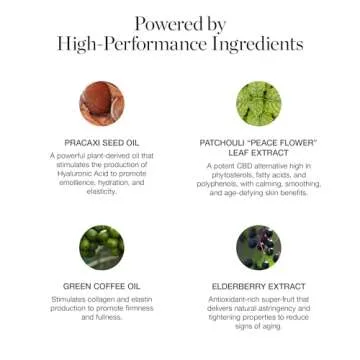 Ogee Sculpted Complexion Foundation Stick (Maple 9.0W - Medium Deep, Golden Bronze Undertones) Full Coverage Foundation Makeup - Instantly Balance & Even Complexion - 70% Organic Ingredients