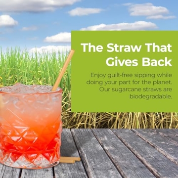 Durable Bionex Sugarcane Straws for Eco-Friendly Sipping