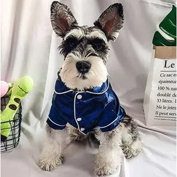 RayMinsino Pet Autumn and Winter New Pajamas Teddy Bomei high-end Silk Cotton Bathrobe Robe Dog Clot...
