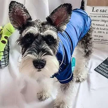 RayMinsino Dog Pajamas - Luxury Bathrobe for Pets