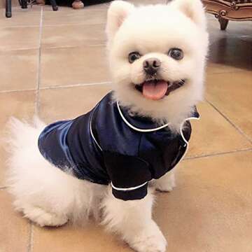 RayMinsino Pet Autumn and Winter New Pajamas Teddy Bomei high-end Silk Cotton Bathrobe Robe Dog Clothes (Blue, L)