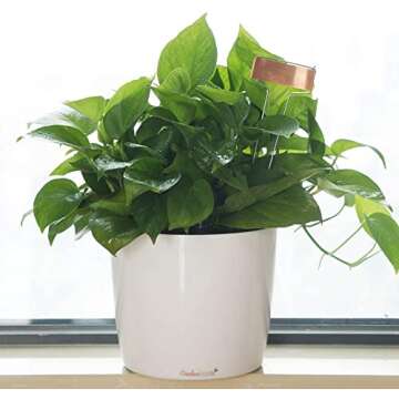 15 Reusable Copper Garden Labels with Marker for Plants