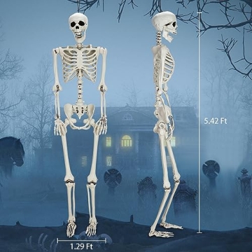 Life Size Skeleton Halloween Decor 5.4ft Realistic