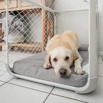 Diggs Bolstr Memory Foam Dog Bed with Headrest for Pets