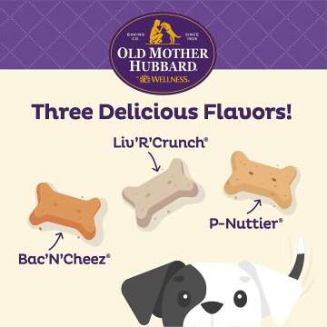 Old Mother Hubbard Dog Treats, 20oz Mini Biscuits