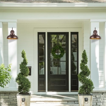 Diyel Outdoor Gooseneck Barn Light for Porch or Entryway