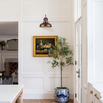 Diyel Outdoor Gooseneck Barn Light for Porch or Entryway