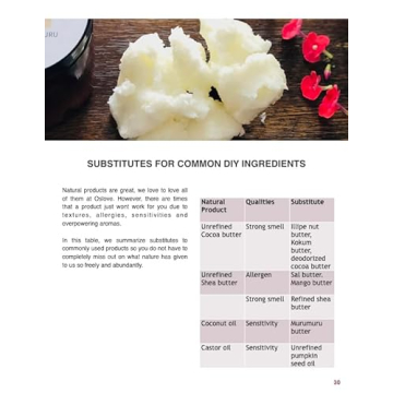 Oslove Organics Shea Butter - Refined Organic & Creamy 16oz