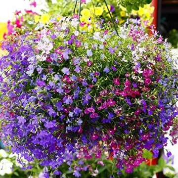 Seeds Lobelia Mix Annual Flowers for Planting Non GMO