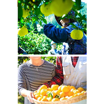 Organic Yuzu Juice First Press - Authentic Japanese Flavor