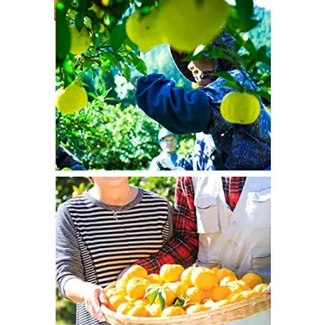 Organic Yuzu Juice First Press - Authentic Japanese Flavor