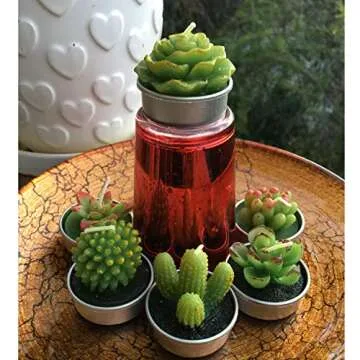 GIFTEXPRESS 18 Succulent Cactus Candles for Every Occasion