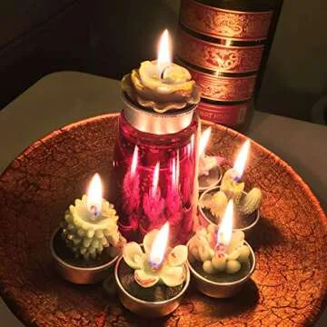 GIFTEXPRESS 18 Succulent Cactus Candles for Every Occasion
