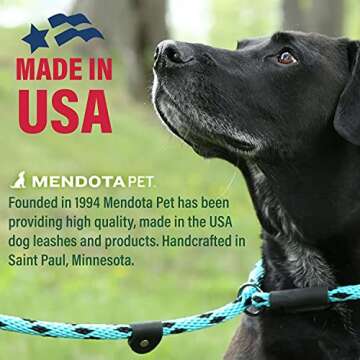 Mendota Pet Slip Leash - Dog Lead and Collar Combo - Made in The USA - Mocha, 3/8 in x 6 ft - for Small/Medium Breeds