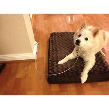 Dog Training Tie Out Cable, 3 Ft Begging Jumping Destructive Chewing Housetraining Counter Surfing T...