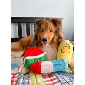 TONBO Summertime Combo - Crinkle Plush Cute Dog Toys, Popsicle, Watermelon, Lemonade (Summertime Combo)