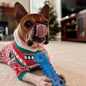 Nylabone Flexi Chill & Chew Toy for Dogs with Treat Pockets, Dog Toys for Moderate Chewers, Chicken ...